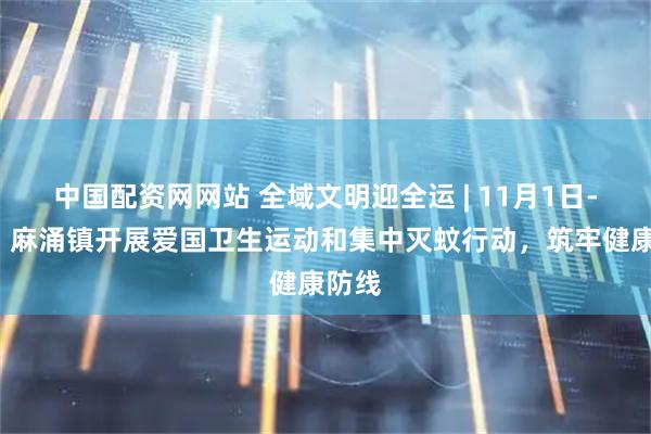中国配资网网站 全域文明迎全运 | 11月1日-2日，麻涌镇开展爱国卫生运动和集中灭蚊行动，筑牢健康防线