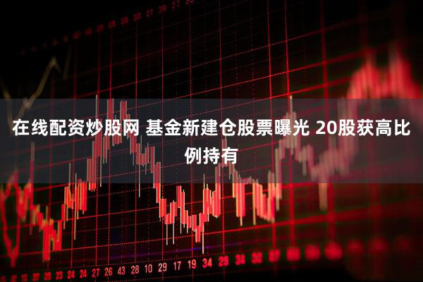 在线配资炒股网 基金新建仓股票曝光 20股获高比例持有