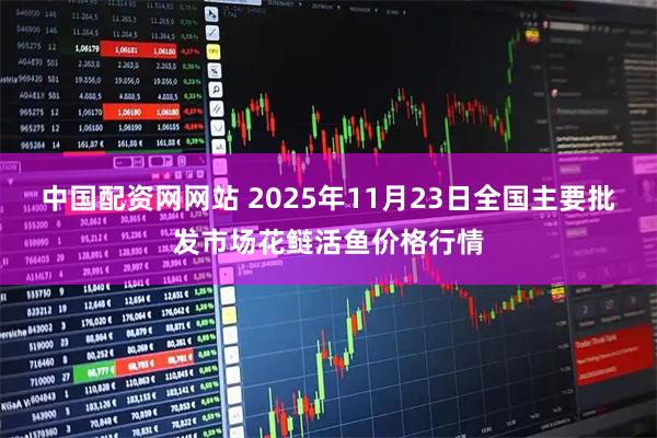 中国配资网网站 2025年11月23日全国主要批发市场花鲢活鱼价格行情