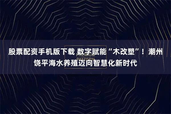 股票配资手机版下载 数字赋能“木改塑”！潮州饶平海水养殖迈向智慧化新时代